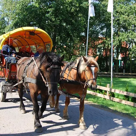 Auf Hiddensee Im Ort