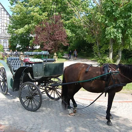 호텔 Auf Hiddensee Im Ort *