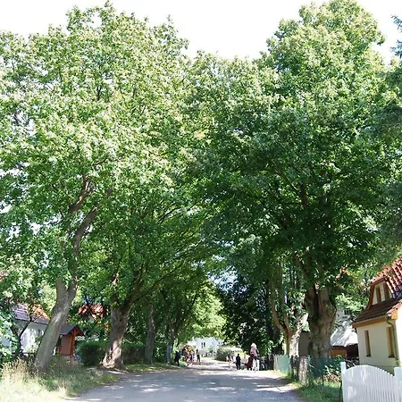 호텔 Auf Hiddensee Im Ort